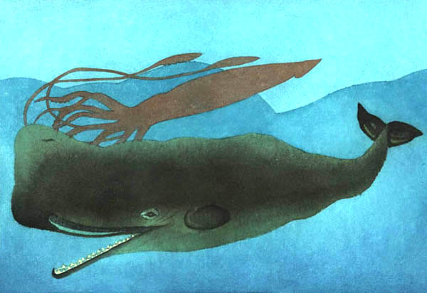 Imagen donde se muestra una ballena con dientes mejor conocida como odontocetos