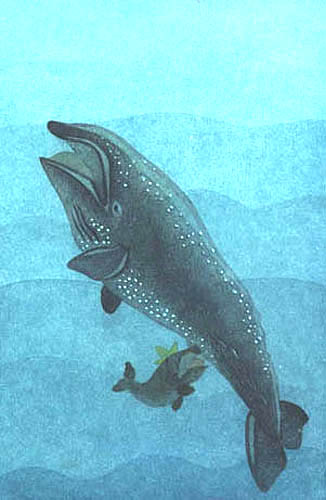 Imagen de la ballena y el ballenato regresando a las profundidades del mar
