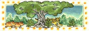 Imagen de un leopardo saliendo detrs de un rbol