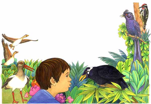 Imagen donde aparece un nio tratando de escuchar y comunicarse con un ave
