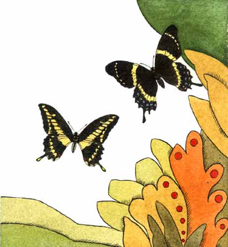 Imagen de dos mariposas
