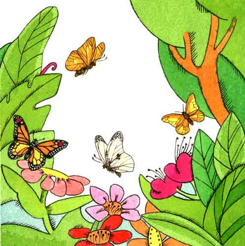 Imagen de varias mariposa volando entre rboles y plantas