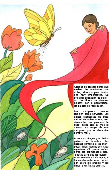 Imagen que muestra las funciones de una mariposa como la polinizacin de flores y la produccin de seda cuando aun son orugas