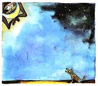 Imagen donde se observa al coyote mirando hacia el cielo
