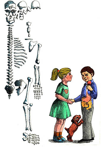 Imagen de un esqueleto