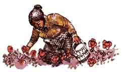 Imagen de Francisca cortando flores