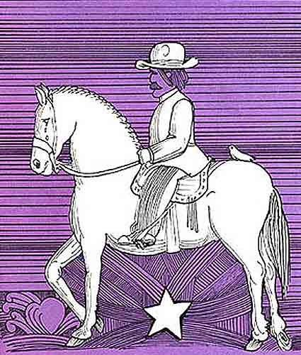 Imagen de Hilvanando arriba de su caballo blanco