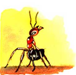 Imagen de una hormiga