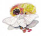 Imagen de una mariposa nocturna