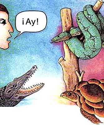 Imagen de una tortuga, un cocodrilo y una serpiente