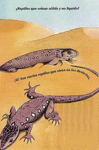Imagen de reptiles que viven en el desierto