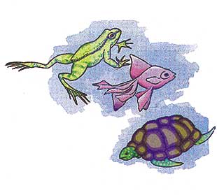 Imagen de una tortuga, una rana y un pez