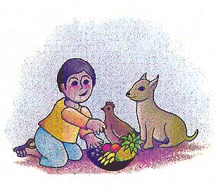 Imagen de un nio con un perro y una gallina