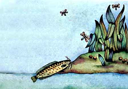 Imagen de un pez que respira fuera del agua