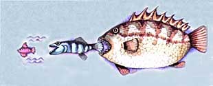 Imagen que representa como el pez más grande siempre se come al chico