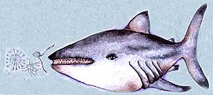 Imagen del tiburón ballena