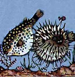 Imagen de un pez globo y un erizo