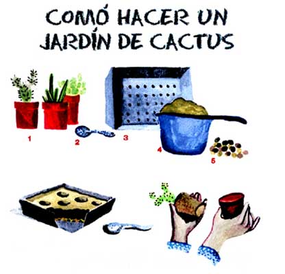 Imagen de un grupo de cactus