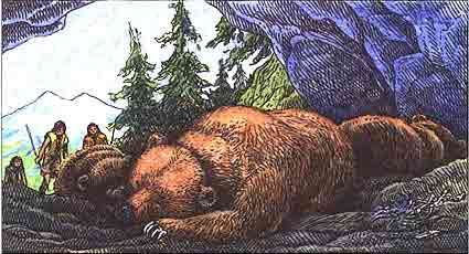Imagen de unos osos durmiendo