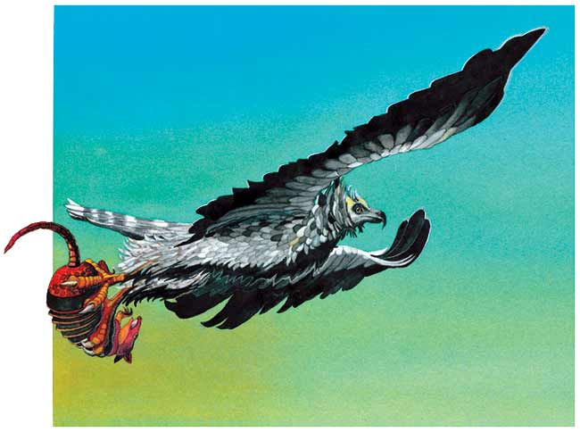 Un águila arpía va volando lleva un armadillo entre sus garras.
