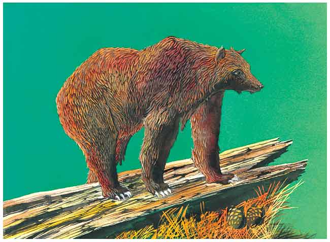 Sobre un tronco viejo, se ve un oso café con grandes garras.