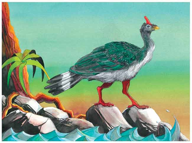 Sobre unas rocas cerca de un río está un pavón, su plumaje es verde y gris, su cola es larga y con algunas plumas blancas, tiene un cuerno rojo en la frente.