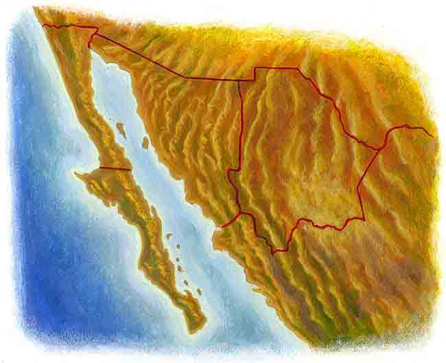 En esta imagen vemos una parte de un mapa de la Repblica, son los lugares donde habita el berrendo: Baja California, Sonora y Chihuahua.