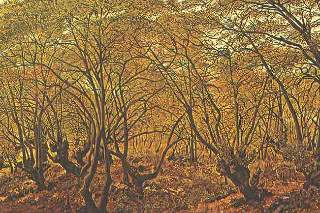 En esta imagen se puede ver un bosque en otoo, los rboles casi no tienen follaje, dominan las tonalidades ocres y amarillas.