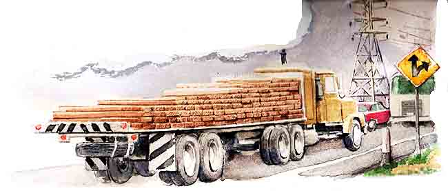 Aqu en esta imagen se ve un trailer, que va cargado de madera.