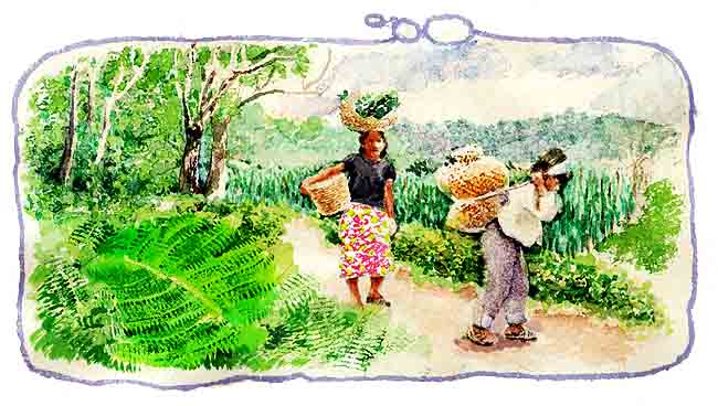 En esta imagen aparece el campesino cuando era nio, caminando entre matorrales  y rboles, va cargando en su espalda lo que recogi de la cosecha. Atrs de l va una mujer, con una canasta en la cabeza y otra en los brazos.