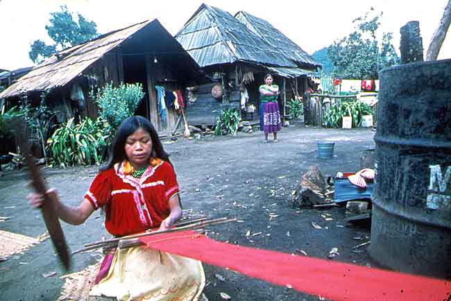 En esta imagen se ve una comunidad de purpechas, una mujer est tejiendo con un telar.