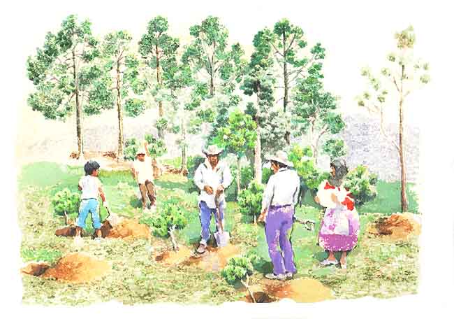 En esta imagen se ve a un grupo de campesinos sembrando.