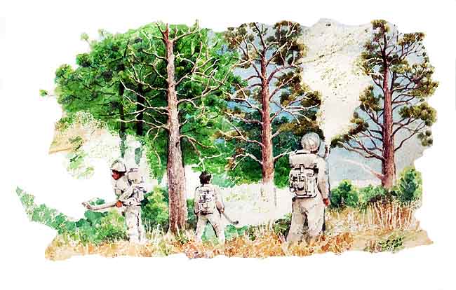 En esta imagen hay tres hombres en un bosque que estn fumigando tratando de combatir los distintos tipos de insectos que atacan al bosque.