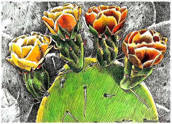 Esta es la imagen de un cactus con flores rojas.