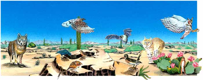 animales y plantas del desierto