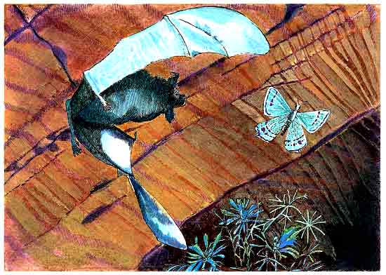 En esta imagen se ve un murciélago tratando de atrapar a una mariposa. Los insectos sirven de alimento a otros animales. Esto es muy importante para la vegetación.
