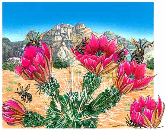 En esta imagen se ven unas flores rojas de un cactus, unas abejas alrededor.