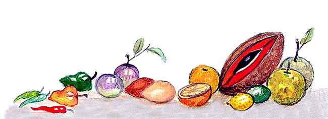 Aqu podemos ver distintos frutos. Chiles, cebollas moradas, naranjas, limones, manzanas, mamey.