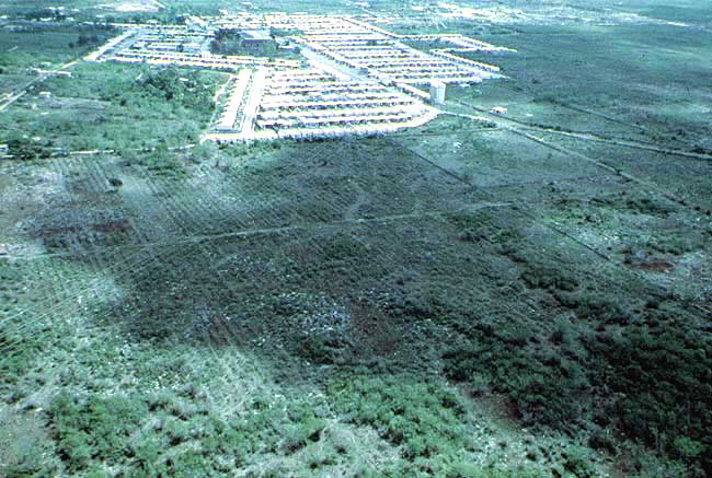 Aqu se ve la imagen area de algunos huertos en Yucatn. Las construcciones urbanas han alcanzado a los huertos.