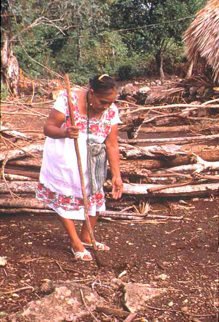 En esta imagen vemos a una mujer de la zona maya, sembrando, en la mano lleva un palo de madera y est dejando caer semillas al suelo.