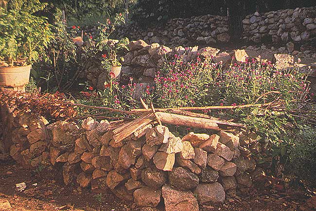 Esta es la imagen de un koloxche que es un huerto protegido por piedras.