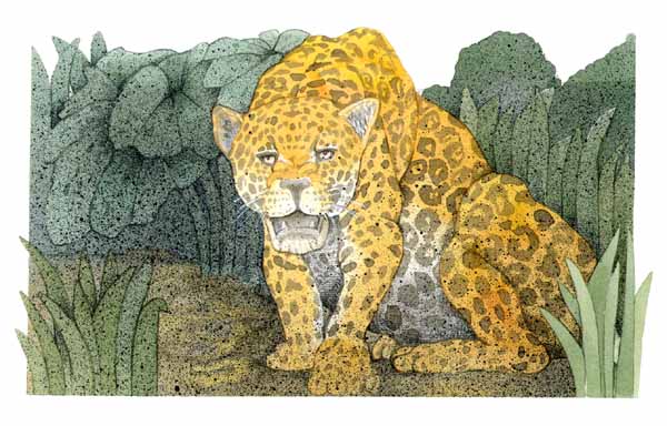 En esta imagen se ve a un jaguar entre unos matorrales.