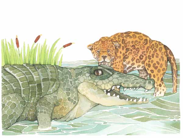 En esta imagen se ve a un jaguar luchando contra un cocodrilo. Se zambulle en el agua y lucha ferozmente con l.