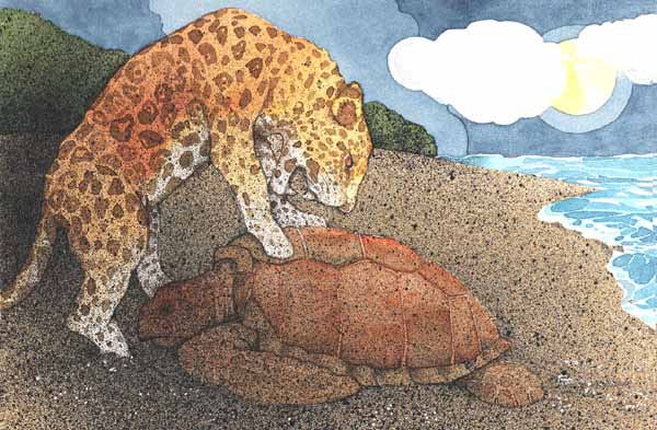 En esta imagen se ve a un jaguar comiendo a una tortuga.