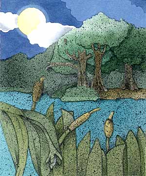 En esta imagen se ve un lago, algunos juncos y a lo lejos unos rboles. Los jaguares acechan desde lor rboles, se ocultan en ellos.