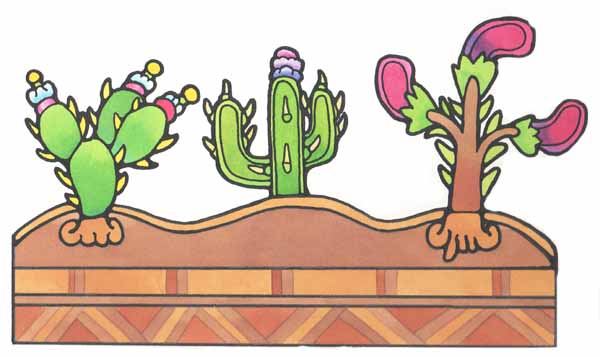 En esta imagen de distintos tipos de cactus.