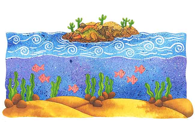 Este es un dibujo de una pequeña isla, hace muchos, muchos años. En ella se ve a un lobo marino y a una tortuga, no se parecen a los que ahora conocemos. Se ve también el mar, con algas y peces.