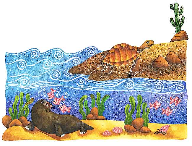 En esta imagen se ve a la tortuga en la orilla del mar y al lobo marino dentro del agua. Ambos se entusiasmaron en cómo era la vida dentro y fuera del agua que decidieron cambiar de casa.