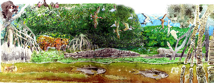 En esta imagen se ve un manglar nuevamente. Dependiendo de la zona, pueden vivir en ellos, aves, cocodrilos, vboras, infinidad de variedades de peces y plantas.