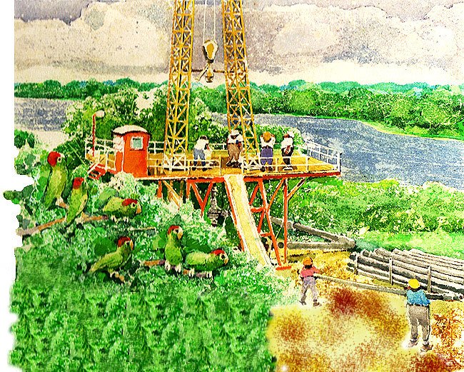 En esta imagen se ve una plataforma petrolera, en medio de una zona llena de vegetacin. 